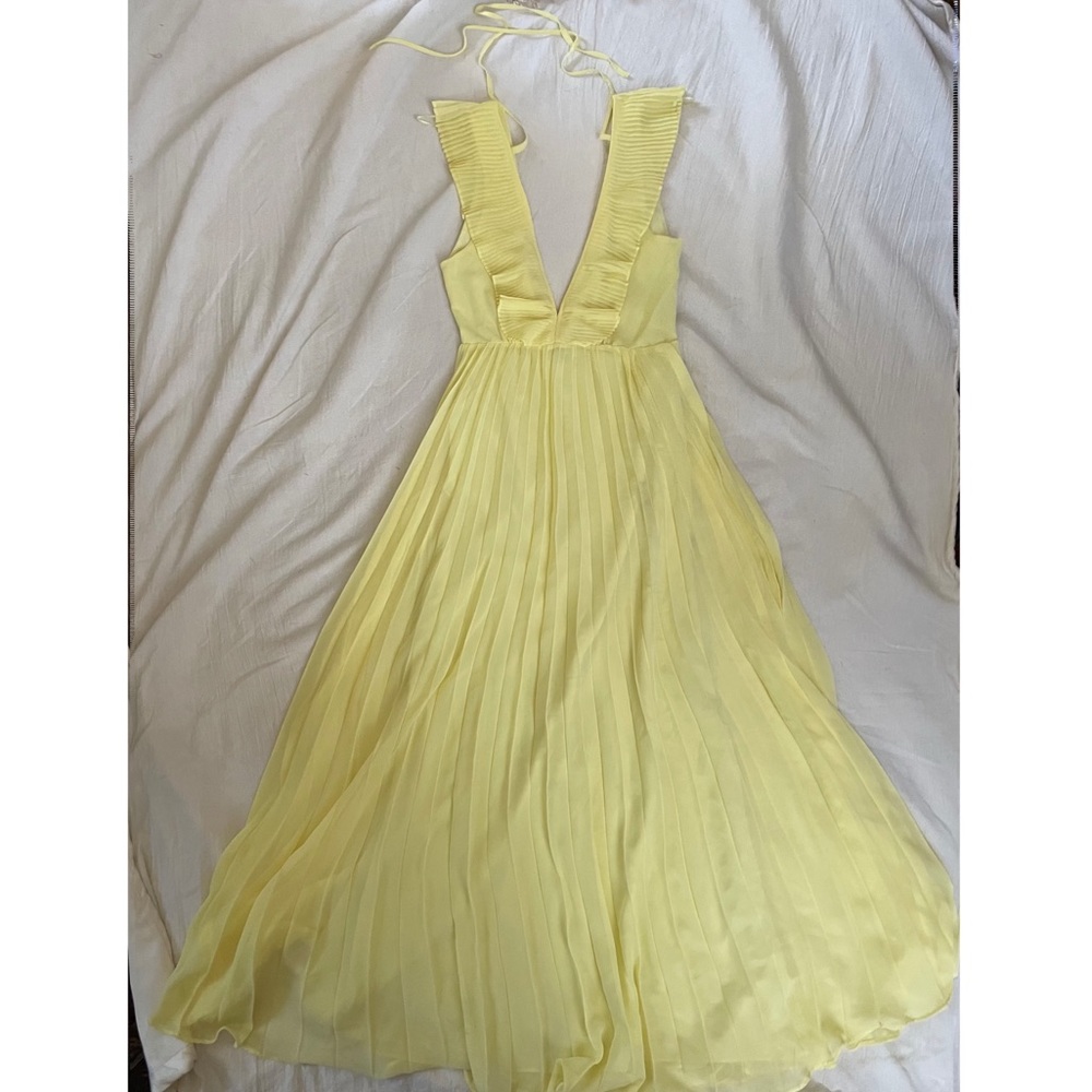 Zara pleated backless maxi dress